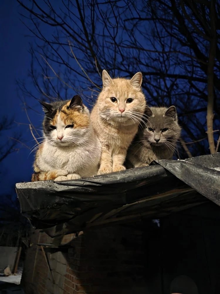 10 апреля на территории Луганской Народной Республики прогнозируется переменная облачность