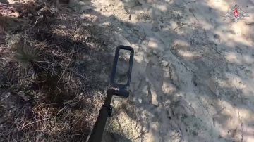 ����� �� �� �������� �������������� ������������ ���������� � ��� � ���������� �������