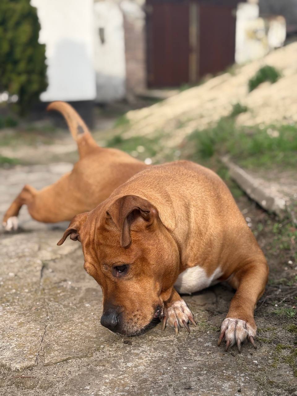 12 апреля на территории Луганской Народной Республики будет облачно с прояснениями