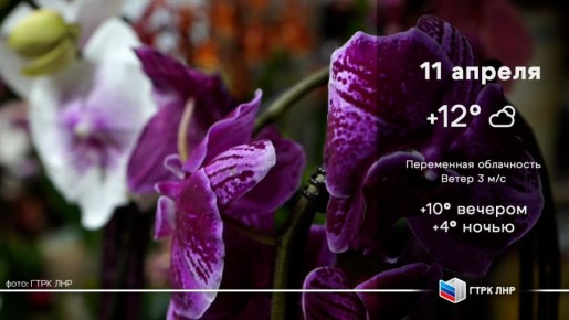 Доброе утро, Луганская Народная Республика!