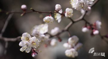 ������ �������� ��������� � ��� ������� � ������ ������������ � ���������� �����������, ��� ����� �������� �� ������� ������