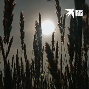 Новая порция магнитных бурь?