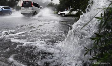 ������ �� ����� ����������� ������