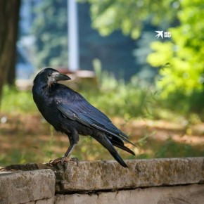 ������, ��� ��� ����� ���������� �� ����� ��� ����� ������