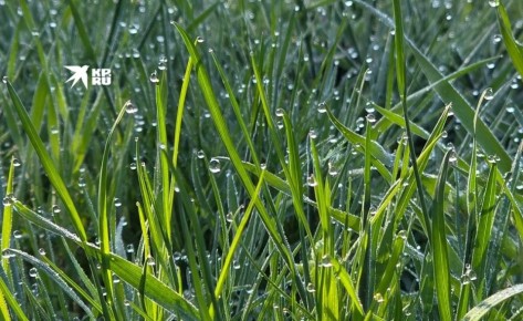 Прогноз погоды в ЛНР на 14 апреля