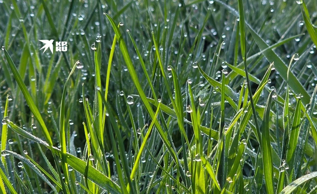 Прогноз погоды в ЛНР на 14 апреля