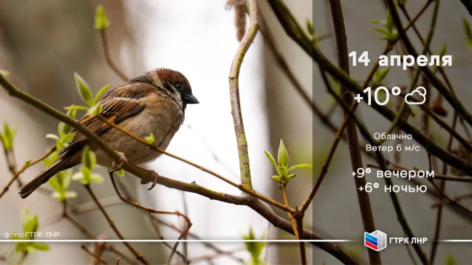 ������ ����, ��������� �������� ����������!