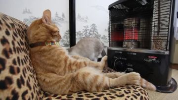 Отопительный сезон в Республике завершается завтра,15 апреля