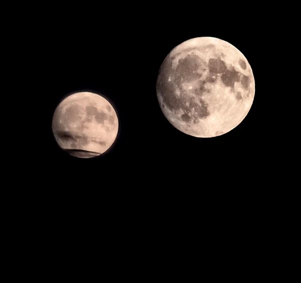 ��� 2026 ���� ������� ��� ����������