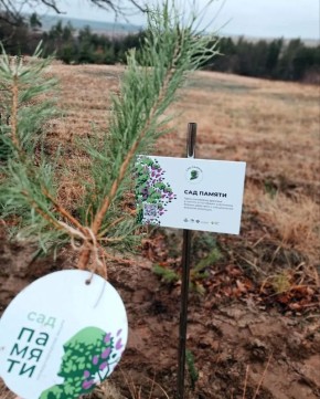 � ������ � ������ � �������������� ������ �������� 35 �������� � ������ ����� ���� ������