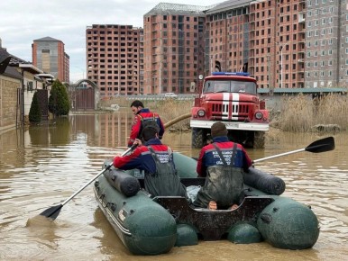 ������� ����������� �������������� ������������� ������� ���������� (����) � ���������: ������� ������ � ������ ������������-����������