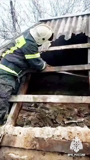 ���������, ��������, ������ ��������� � �����!