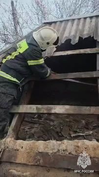 В Луганске на пожаре погиб мужчина