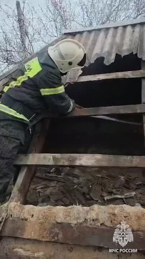 � �������� �� ������ ����� �������