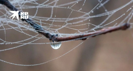 ������ � ��� �� 15 ������. ������� � �������� � �� ���������� ������ � ����������