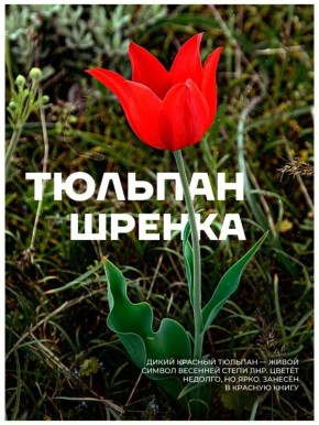 � ��� �������� ���������� ���������� ��� �������� ����� - ������ �������� � �������� ������� � ������� QR-�����