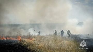 �� ����� � ��� ������������� 6 �������