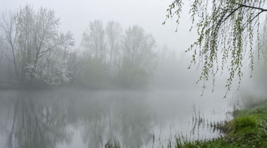 ��������� ������������ 17 ������ � ��� �� 22 �������� �����, ����� � ���������