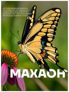 � ��� �������� ���������� ���������� ��� �������� ����� "�������������" �������� � ��������