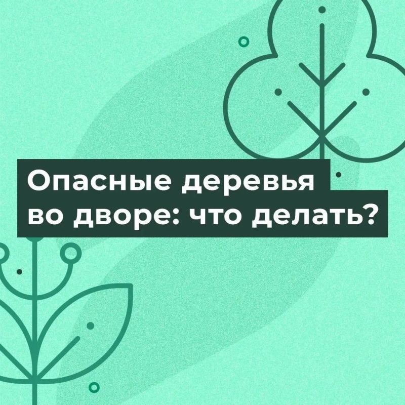 � �������� ���������� ������ ������� ��������