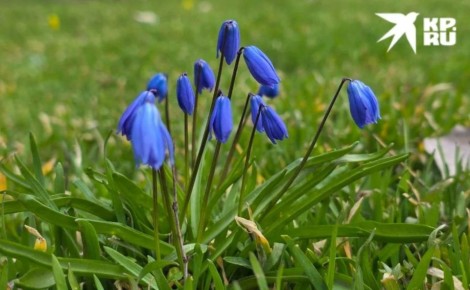 ������ � ��� 18 � 19 ������