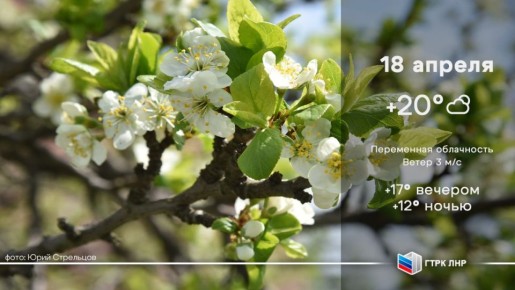 ������ ����, ��������� �������� ����������!