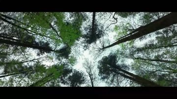 �����������: ����������� ������ � ����������� �������������� ������������