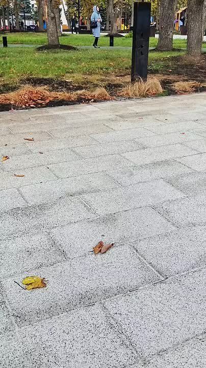 ������ ����, �������!. ������� ������ � � ����� �������