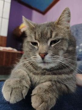 19 ������ �� ���������� ��������� �������� ���������� ����� ������� � ������������