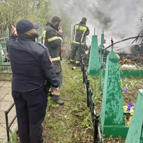 � �������� ���������� ��������