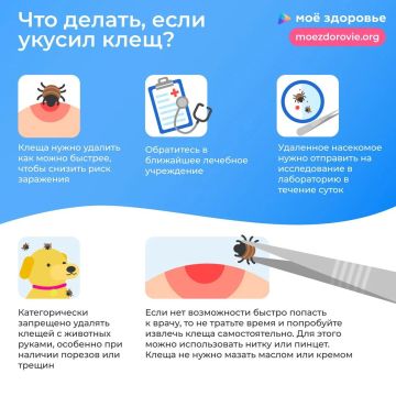 �����, �����, �������, ������ �. �����!