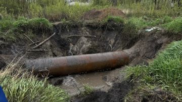 ������������ ����� ����� �� �������� - ��� ���� ����� 14 ����� ������� ���