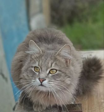 22 ������ �� ���������� ��������� �������� ���������� ����� ������� � ������������