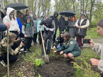 � �������� �������� ������������� ������� ������������ ��������������� ������� �������