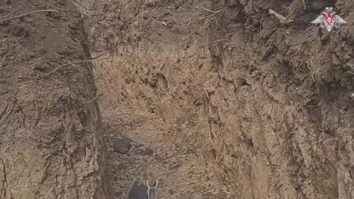 ���������� �� �� �������� ������ ������� ������� ��� �� ����������� �����������