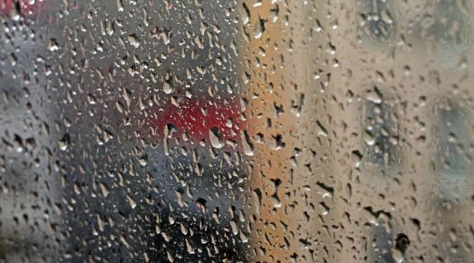 ��������� ������������ 23 ������ � ��� �� 14 �������� �����, ����� � ���������