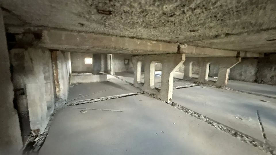� ��������� ���������� ������ ����� ���������������� ���� �� �������� ��������