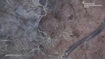 ���������� ����� ������ 201-�� ���������� ����������� �����, ������������ �� ���������� �����������, ������� ���