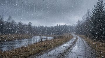 ��������� ������������ 25 ������ � ��� �� 14 �������� �����, �����, ����, ���������