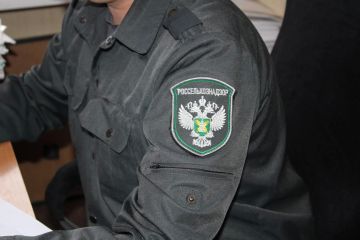 ���������������� ������ ������� ������������� ������ ��������� � ��������-��������