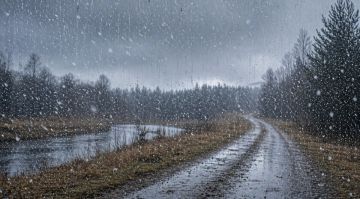 ��������� ������������ 25 ������ � ��� �� 14 �������� �����, �����, ����, ���������