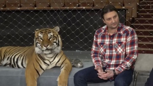 ������� ������ ������ ������ ��������� � ����������� �����. ����� �������: "� �������������"