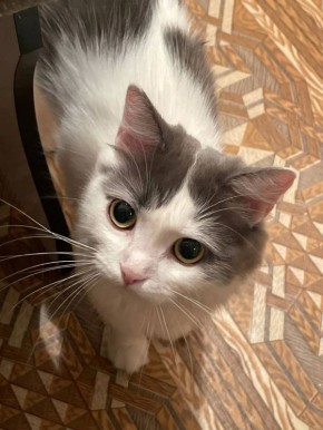 26 ������ �� ���������� ��������� �������� ���������� �������������� ���������� ����������