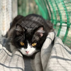 27 ������ �� ���������� ��������� �������� ���������� ����� ������� � ������������