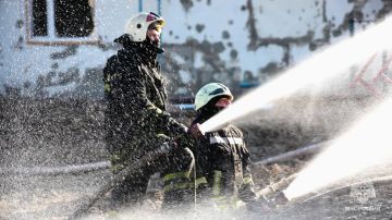 �� ����� � ��� ������������� 11 �������