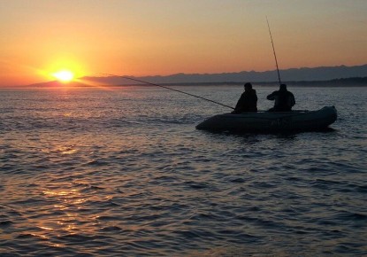 ��������� ������ � �������� ������ �� ����!