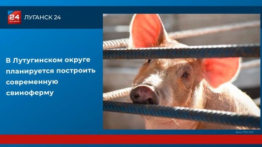 � ����������� ������ ����������� ��������� ����������� ����������