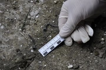 ����������� �������� ����� ������ ������������, ����������� � �������� �������������