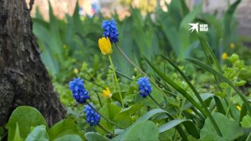 ������ � ��� 29 ������. ������� ���������� ����������, ��� ��������� �������, �� ������� �������� ��������� �����