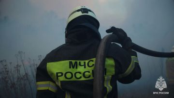 �� ��������� ����� � ��� ������������� 11 �������